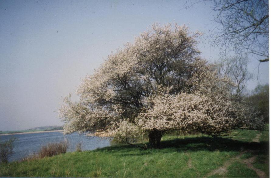 Gaestehaus Niederhof Sundhagen-Niederhof Dış mekan fotoğraf